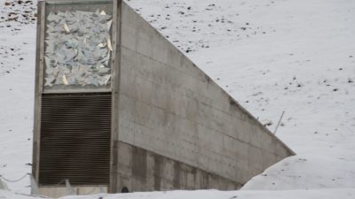 Frövalvet på Svalbard
