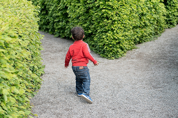 En liten pojke som precis ska springa in i en labyrint av buskar.