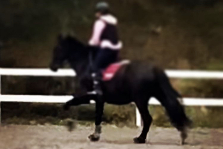 En häst med ryttare.