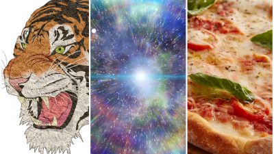 Collage på en tiger, en pizza och universum