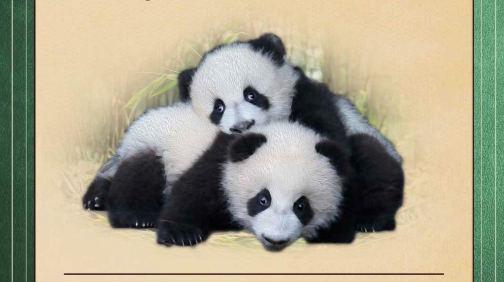 Boktips: Den otroliga boken om djurungar